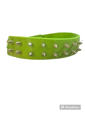 16''PET COLLAR - LIGHT GREEN -SPIKE