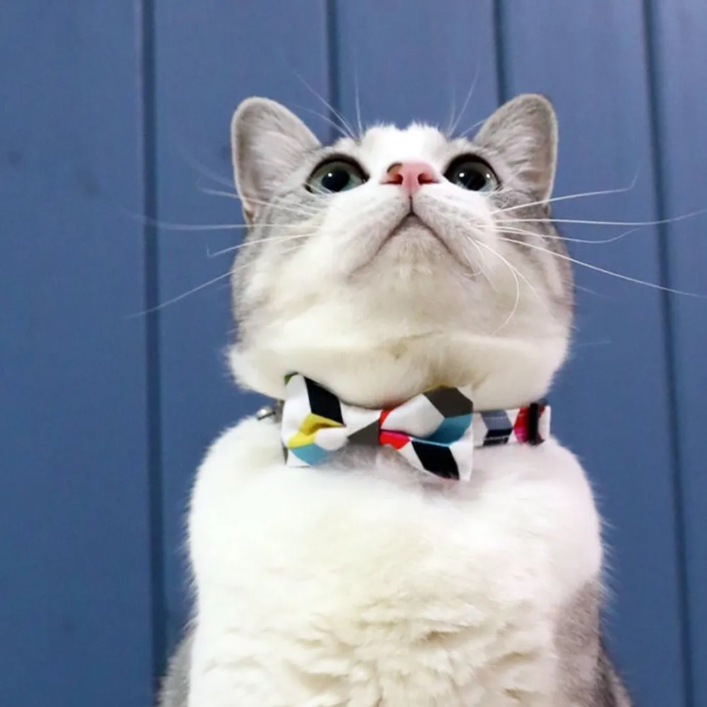 Bowtix Handmade Cat Collar With Removable Bowtie - Candy Strips