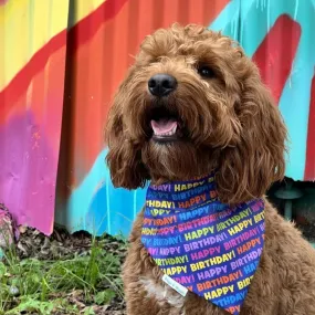 Bright & Happy Birthday Dog Bandana