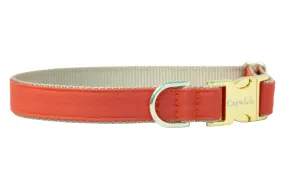 Burnt Orange Dog Collar