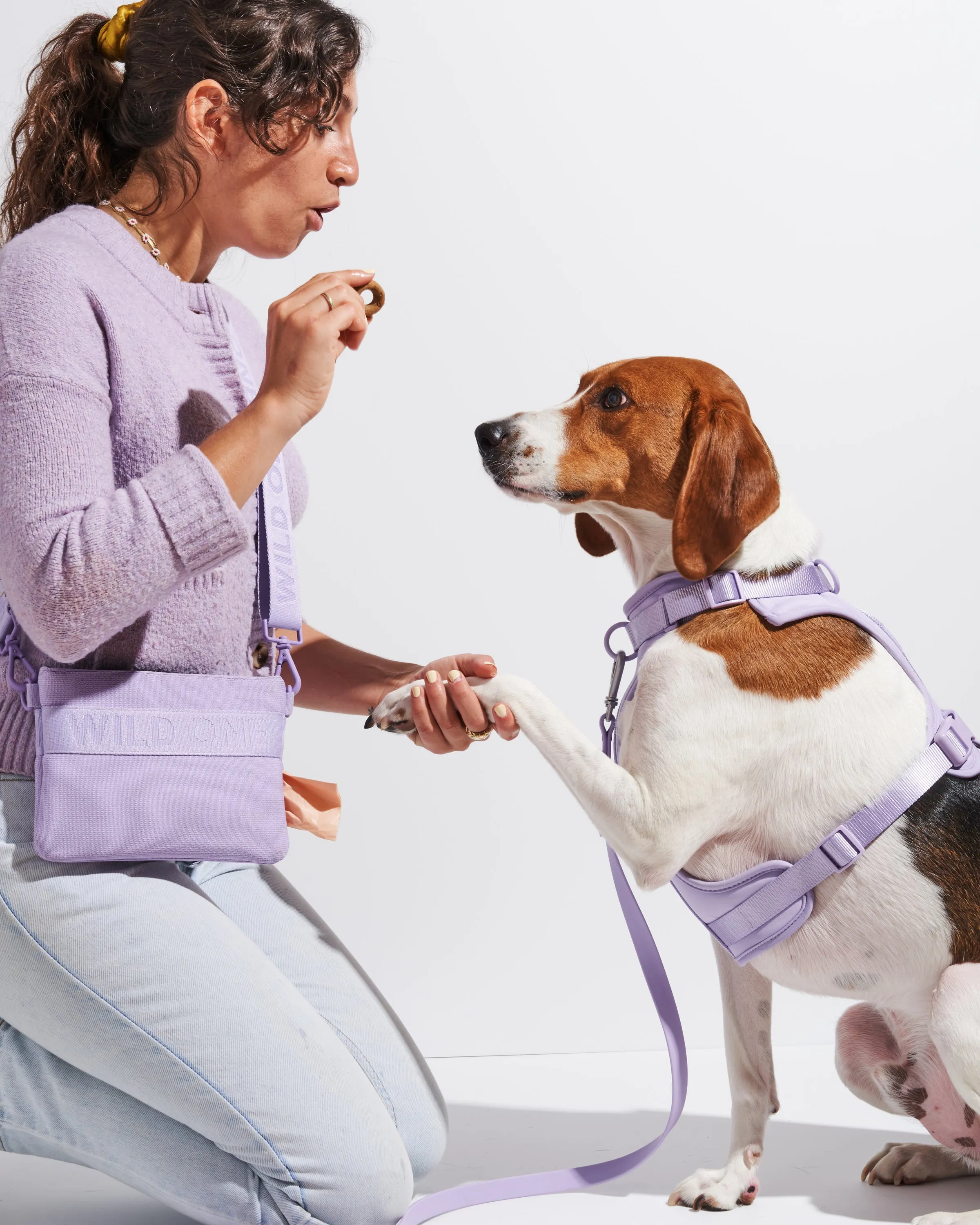 Harness Walk & Treat Kit