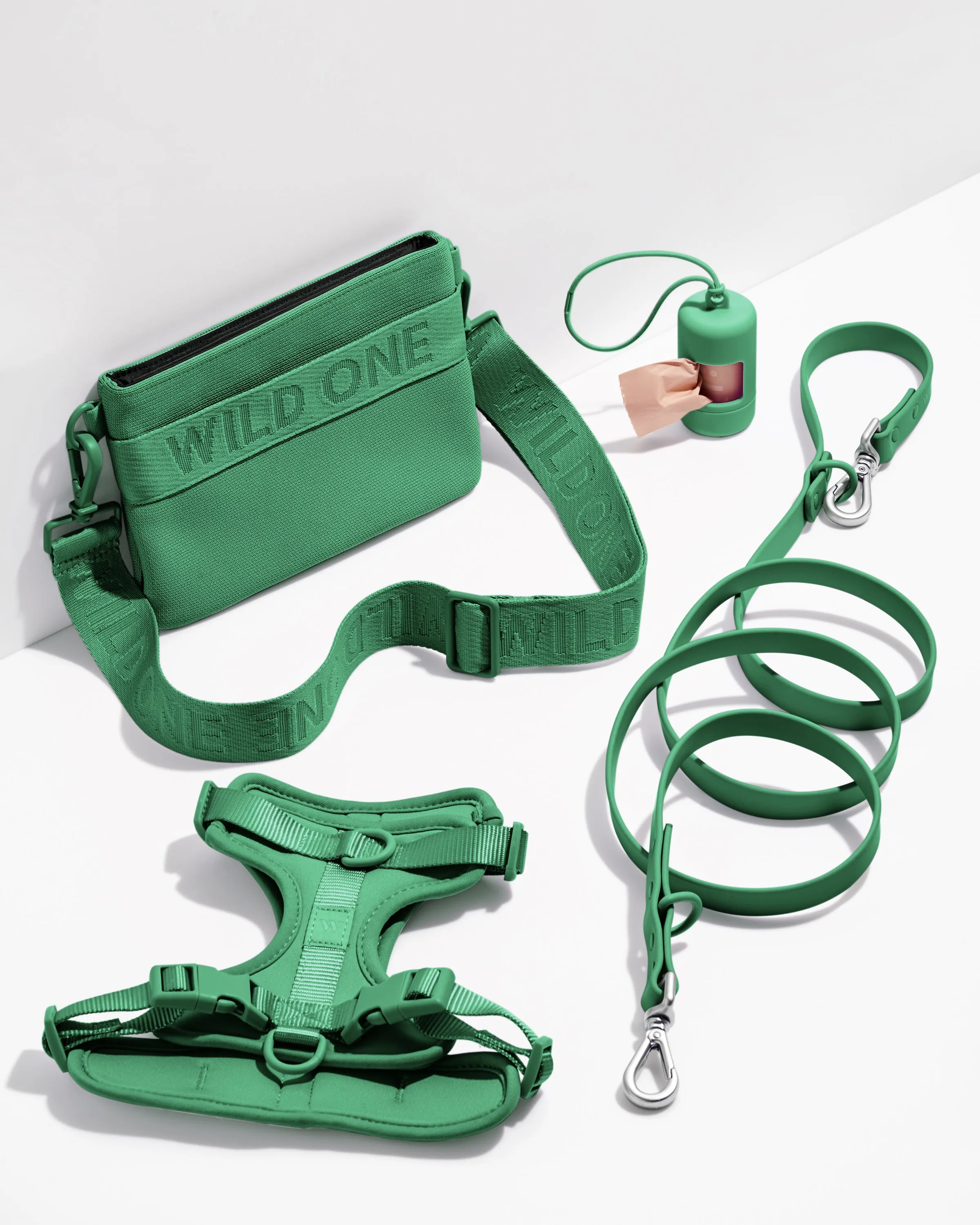 Harness Walk & Treat Kit