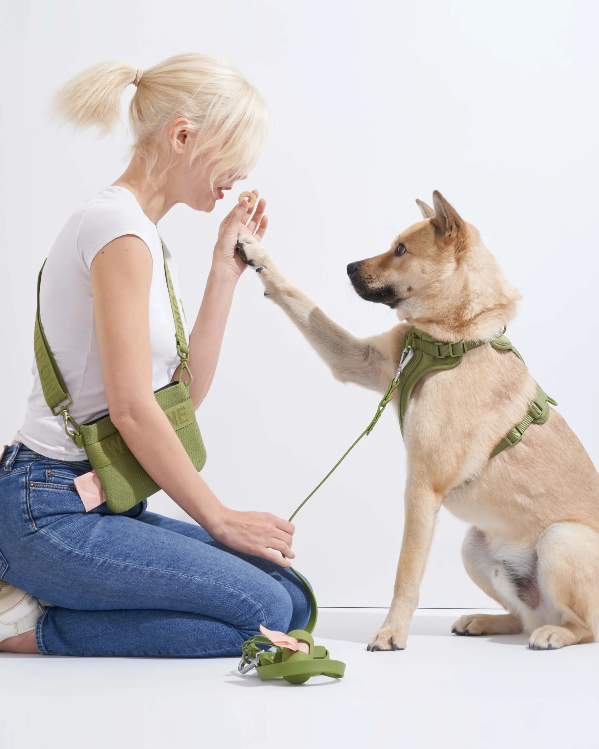 Harness Walk & Treat Kit