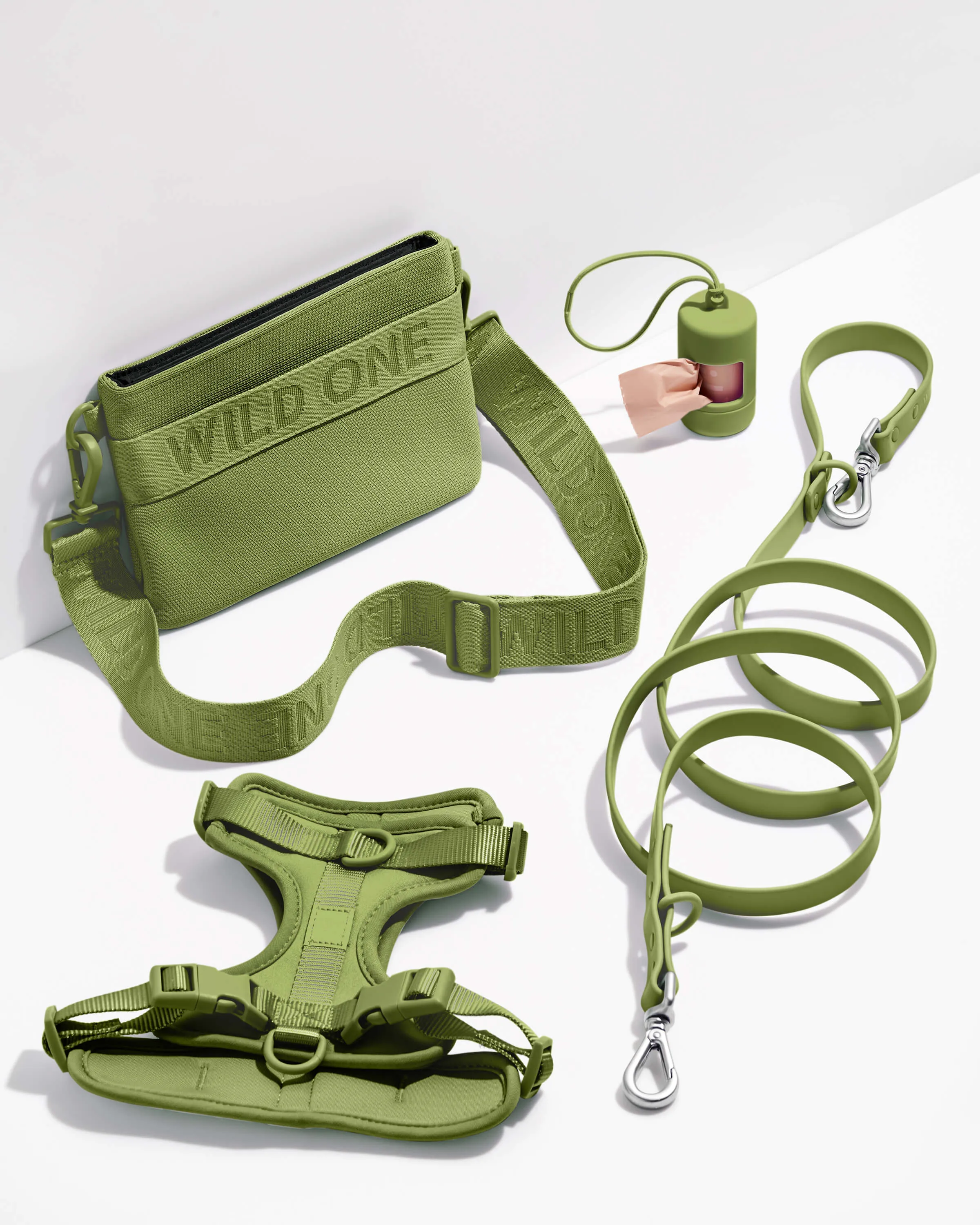 Harness Walk & Treat Kit