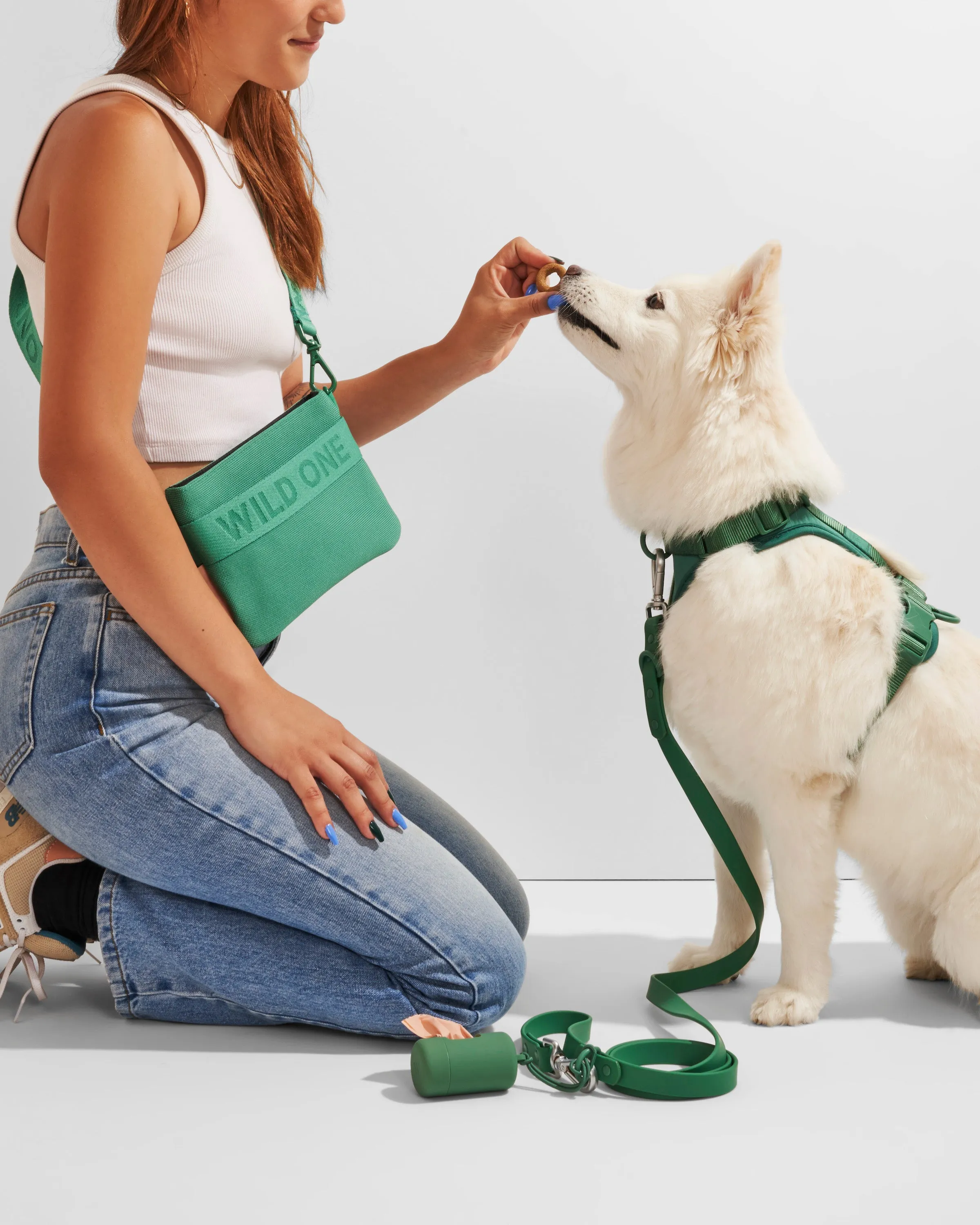 Harness Walk & Treat Kit