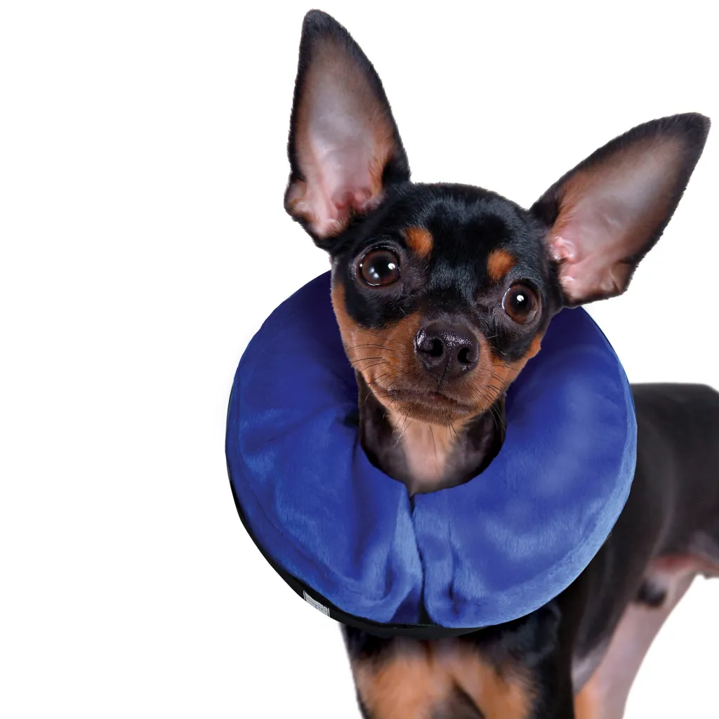 Kong Cloud Inflatable E-Collar For Dogs & Cats