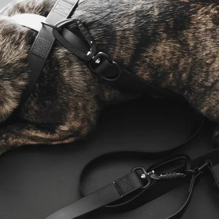 Mellem X Waterproof Dog Leash