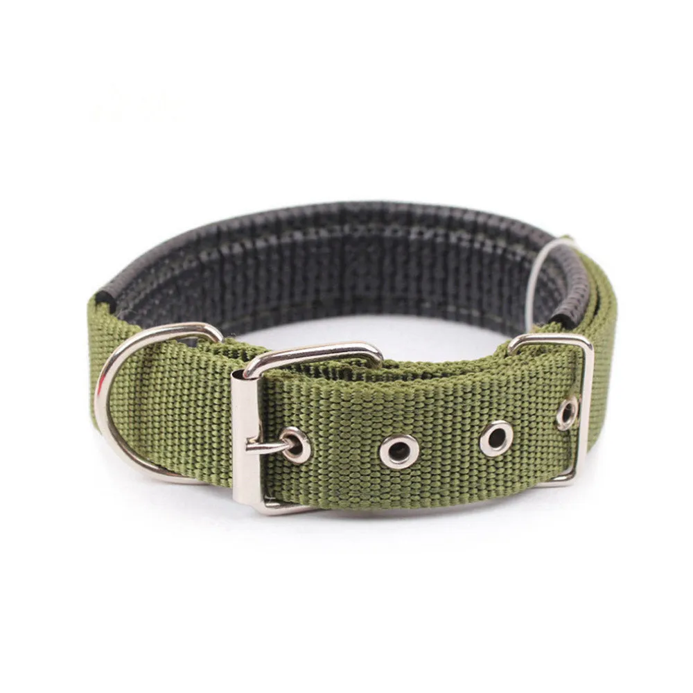 PAWS ASIA Ebay New Style Personalized Adjustable Fashion Luxury Training Stock Large Stripe Collar Dog In Stock