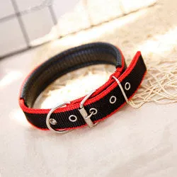 PAWS ASIA Ebay New Style Personalized Adjustable Fashion Luxury Training Stock Large Stripe Collar Dog In Stock