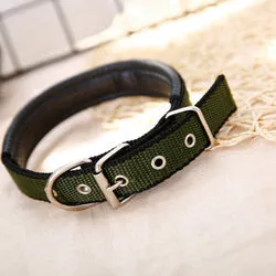 PAWS ASIA Ebay New Style Personalized Adjustable Fashion Luxury Training Stock Large Stripe Collar Dog In Stock