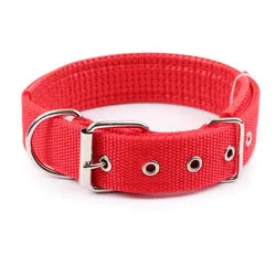 PAWS ASIA Ebay New Style Personalized Adjustable Fashion Luxury Training Stock Large Stripe Collar Dog In Stock