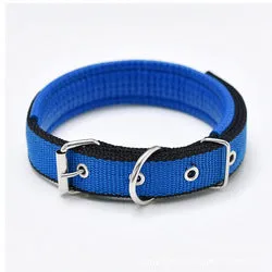 PAWS ASIA Ebay New Style Personalized Adjustable Fashion Luxury Training Stock Large Stripe Collar Dog In Stock