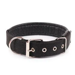 PAWS ASIA Ebay New Style Personalized Adjustable Fashion Luxury Training Stock Large Stripe Collar Dog In Stock