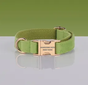 PAWSOME DOG COLLAR - #7