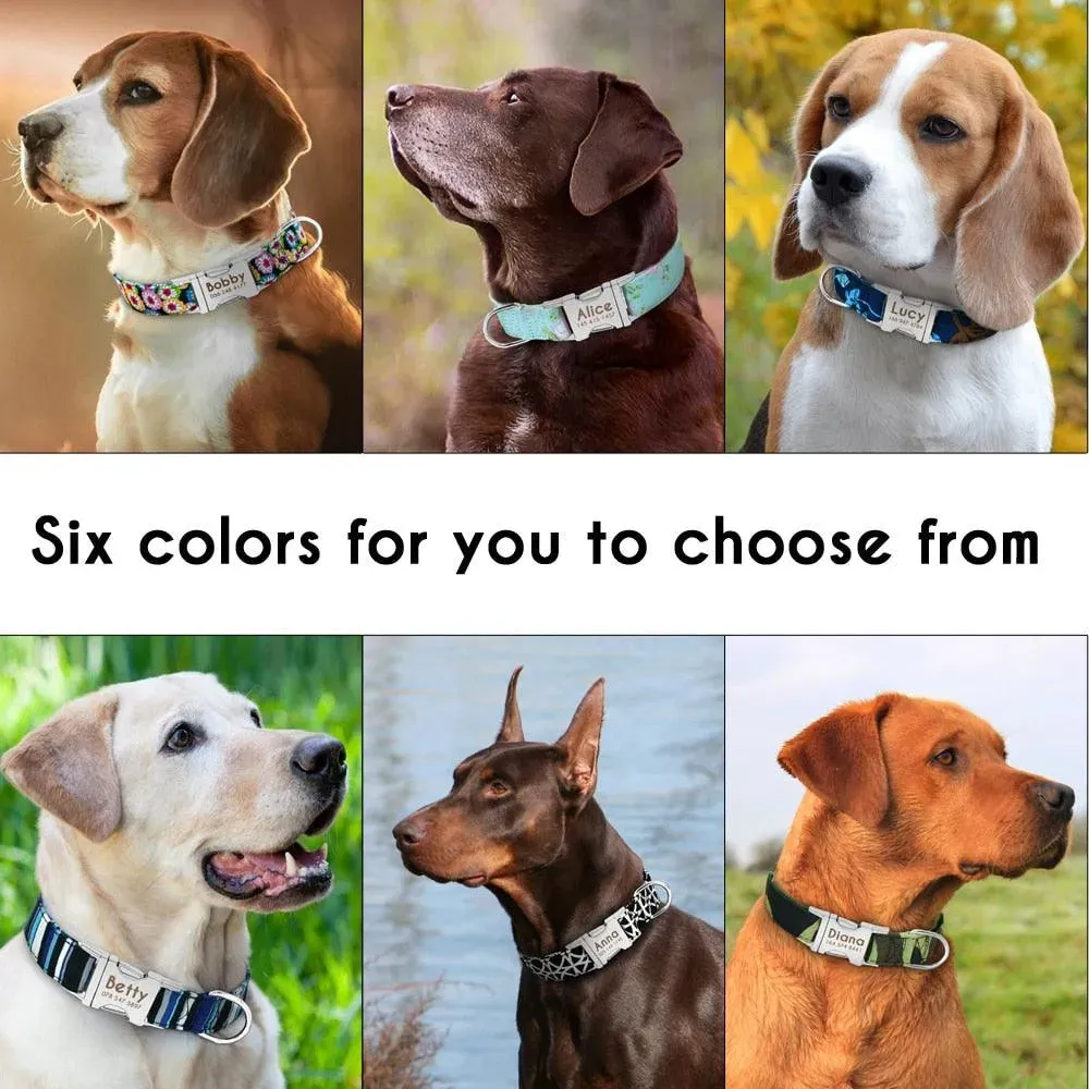 Personalized Nylon Pet Dog Tag Collar