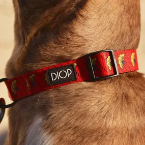 The Amar Dog Collar