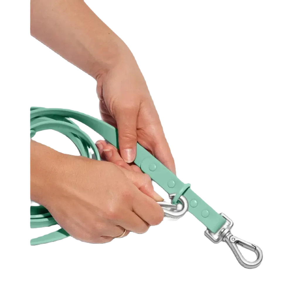 Wild One Adjustable Waterproof Dog Leash - Standard / Spruce