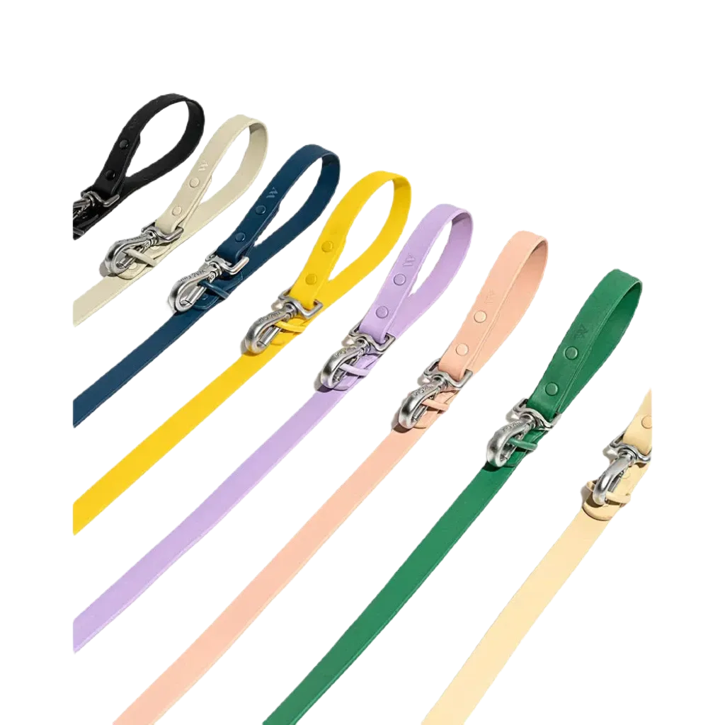 Wild One Adjustable Waterproof Dog Leash - Standard / Spruce