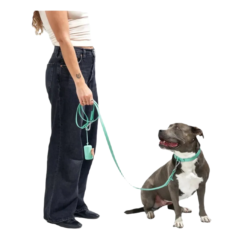 Wild One Adjustable Waterproof Dog Leash - Standard / Spruce