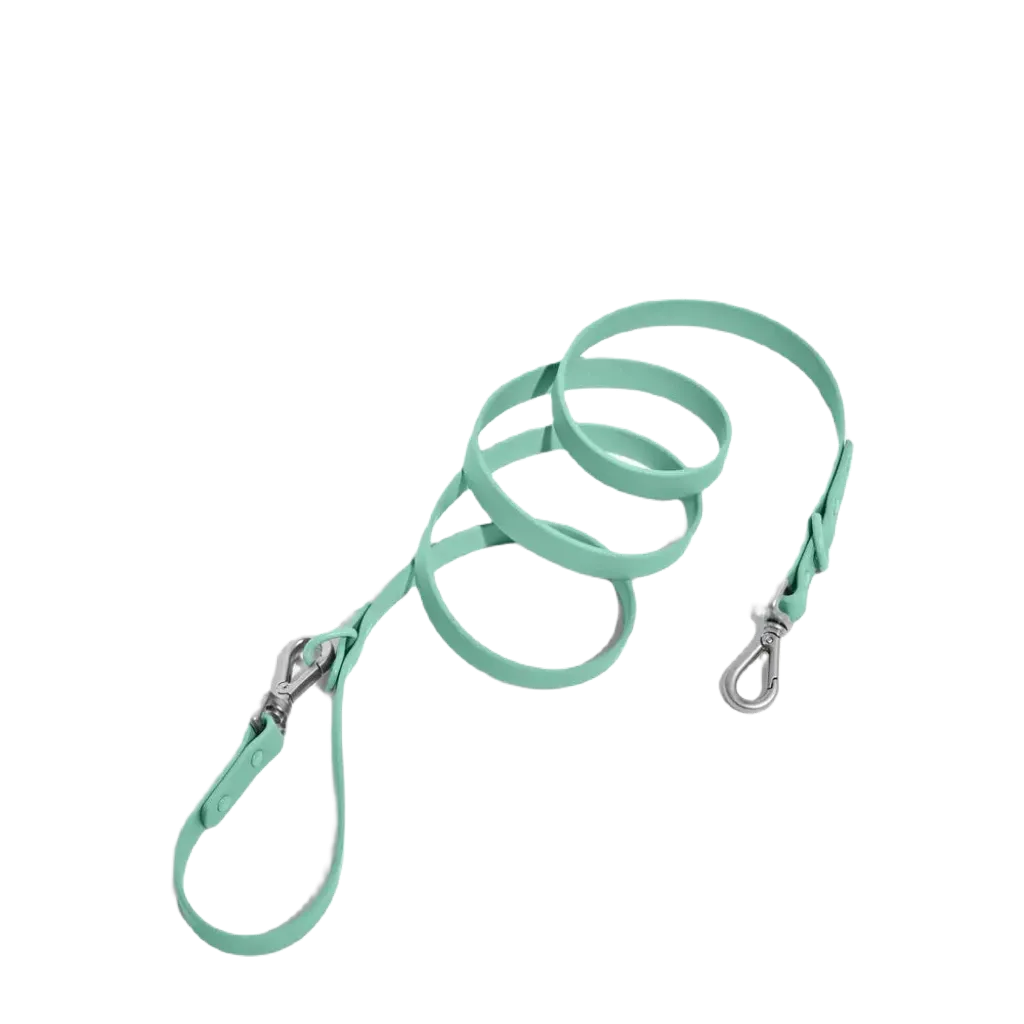 Wild One Adjustable Waterproof Dog Leash - Standard / Spruce