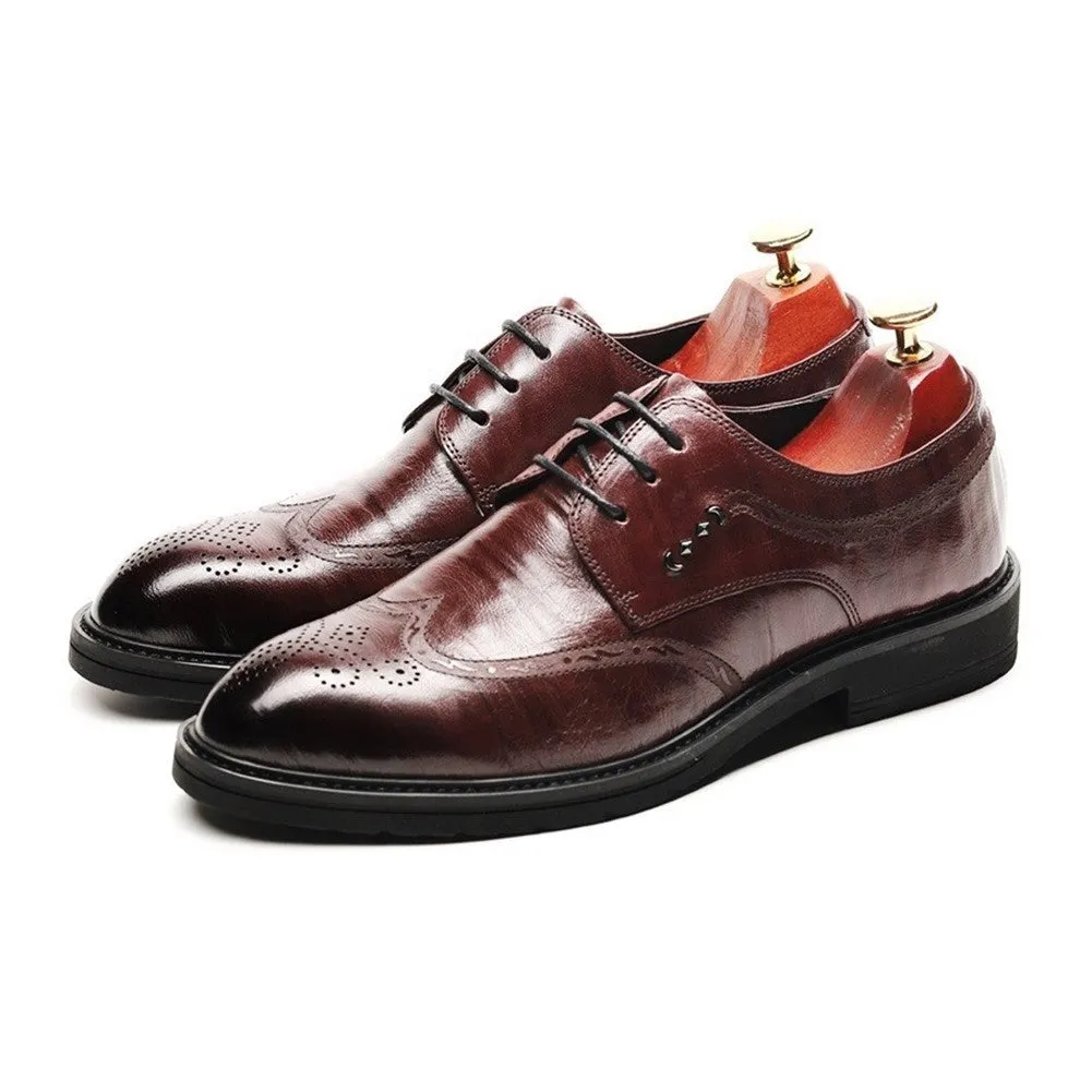 Wingtip Low Top Pointed Oxford for Men